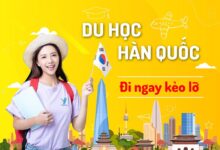 Học bổng du học Hàn Quốc